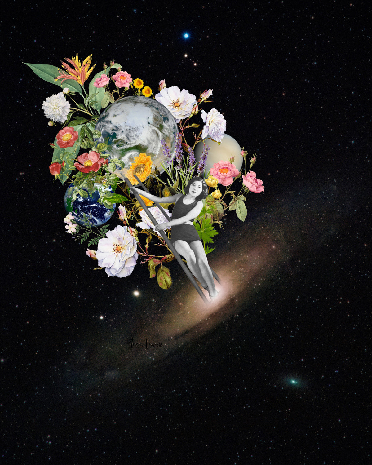 Print - Space In Bloom