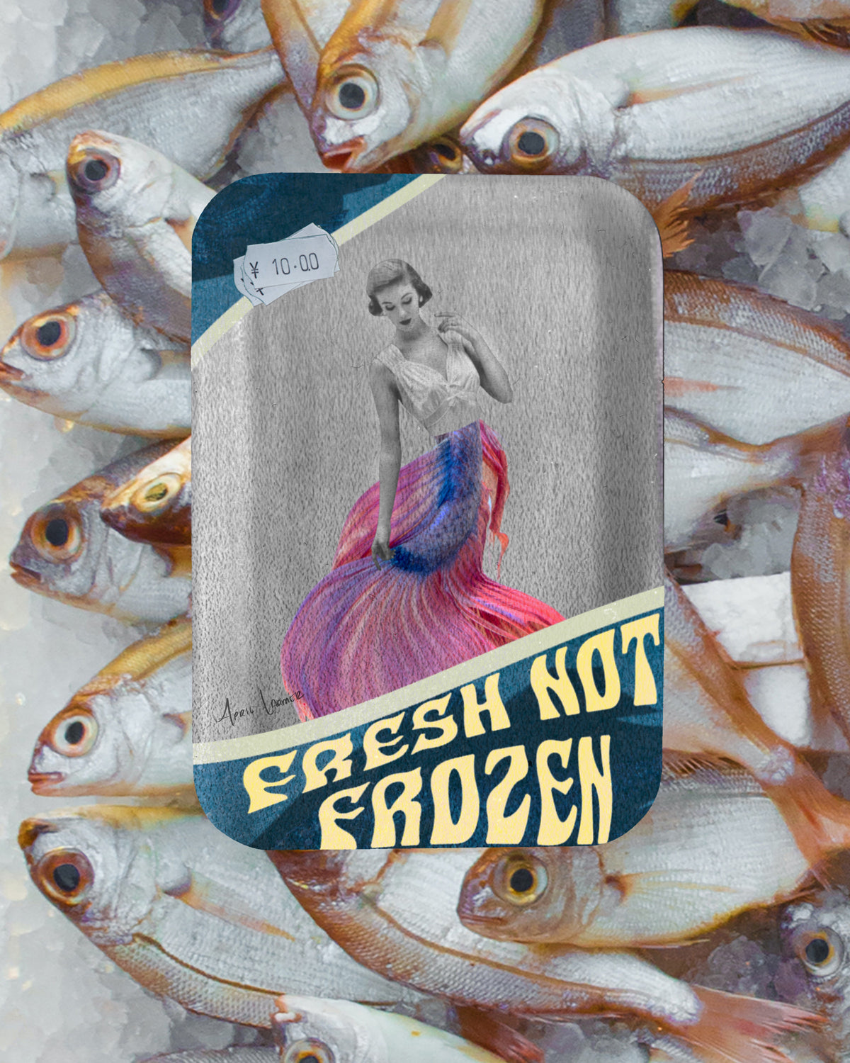 Print - Fresh Not Frozen